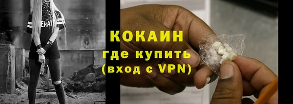 сатива Бронницы