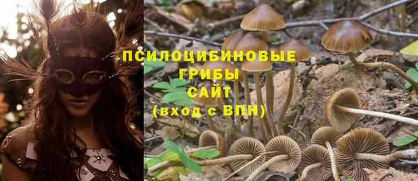 сатива Бронницы